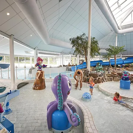 In Limburg Near Maasplassen